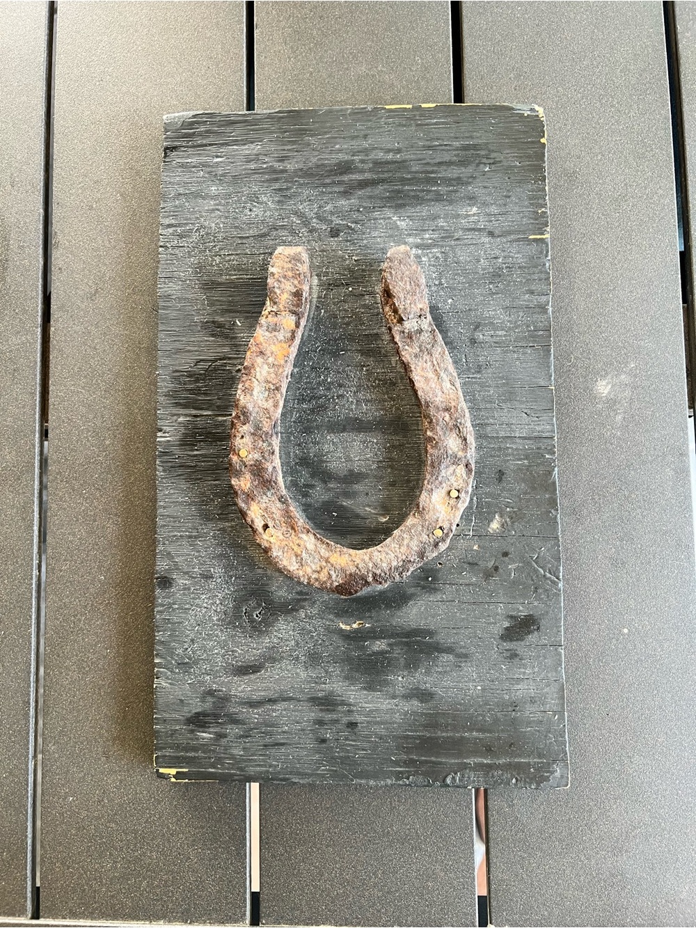 Rustic Horseshoe Wall Art - Black and Brown Accent